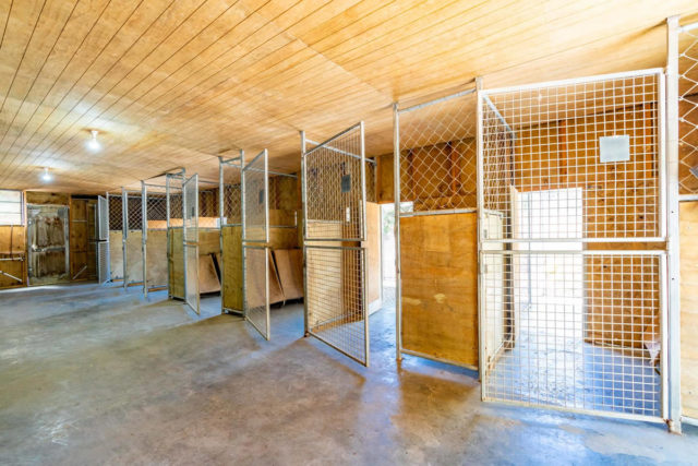 inside kennels